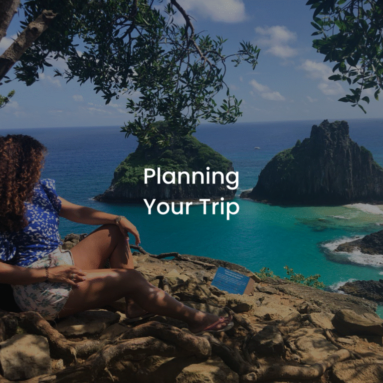 Your paragraph text (1)