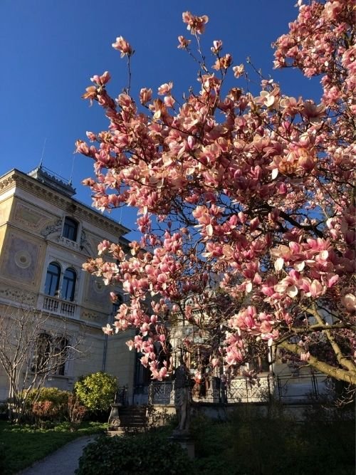 Women Travelers – Spring